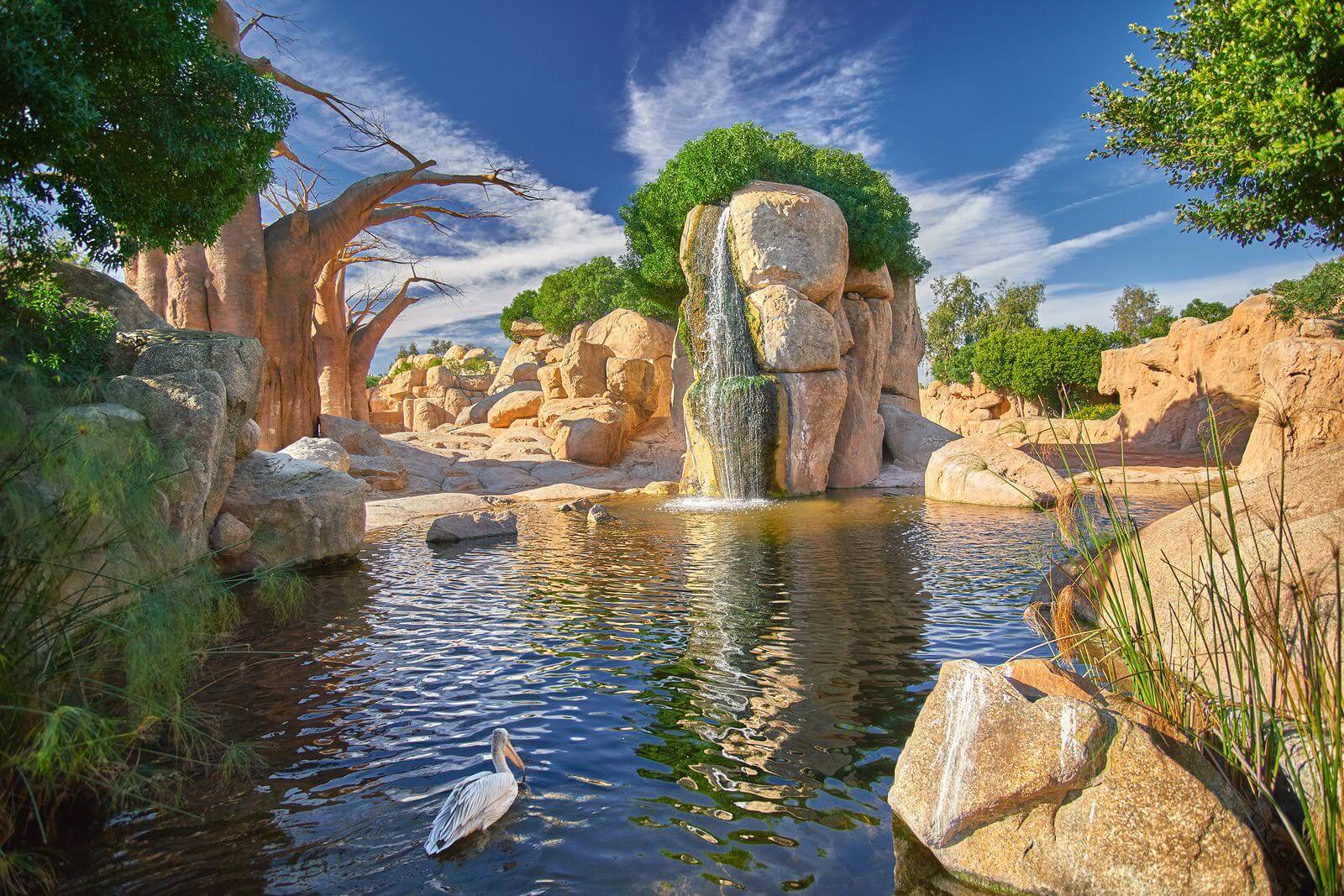 Bioparc
